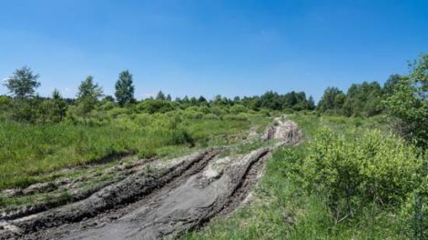 Tips for Driving on Bumpy Roads Image